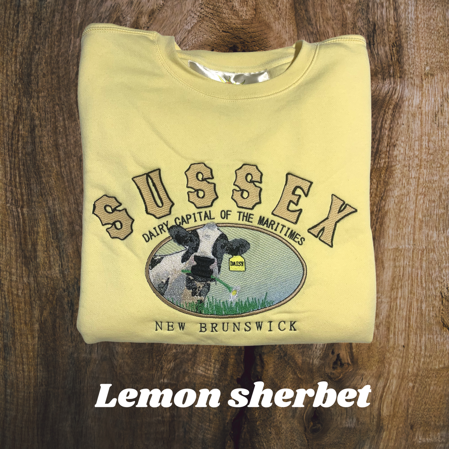 PRE-ORDER SUSSEX DAISY