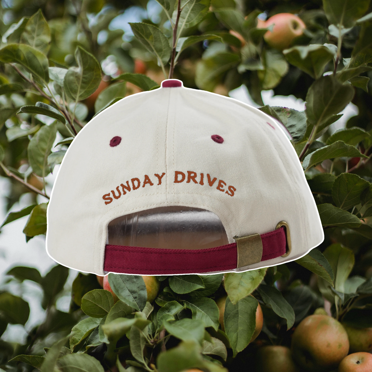 PRE-ORDER ANNAPOLIS VALLEY CAP