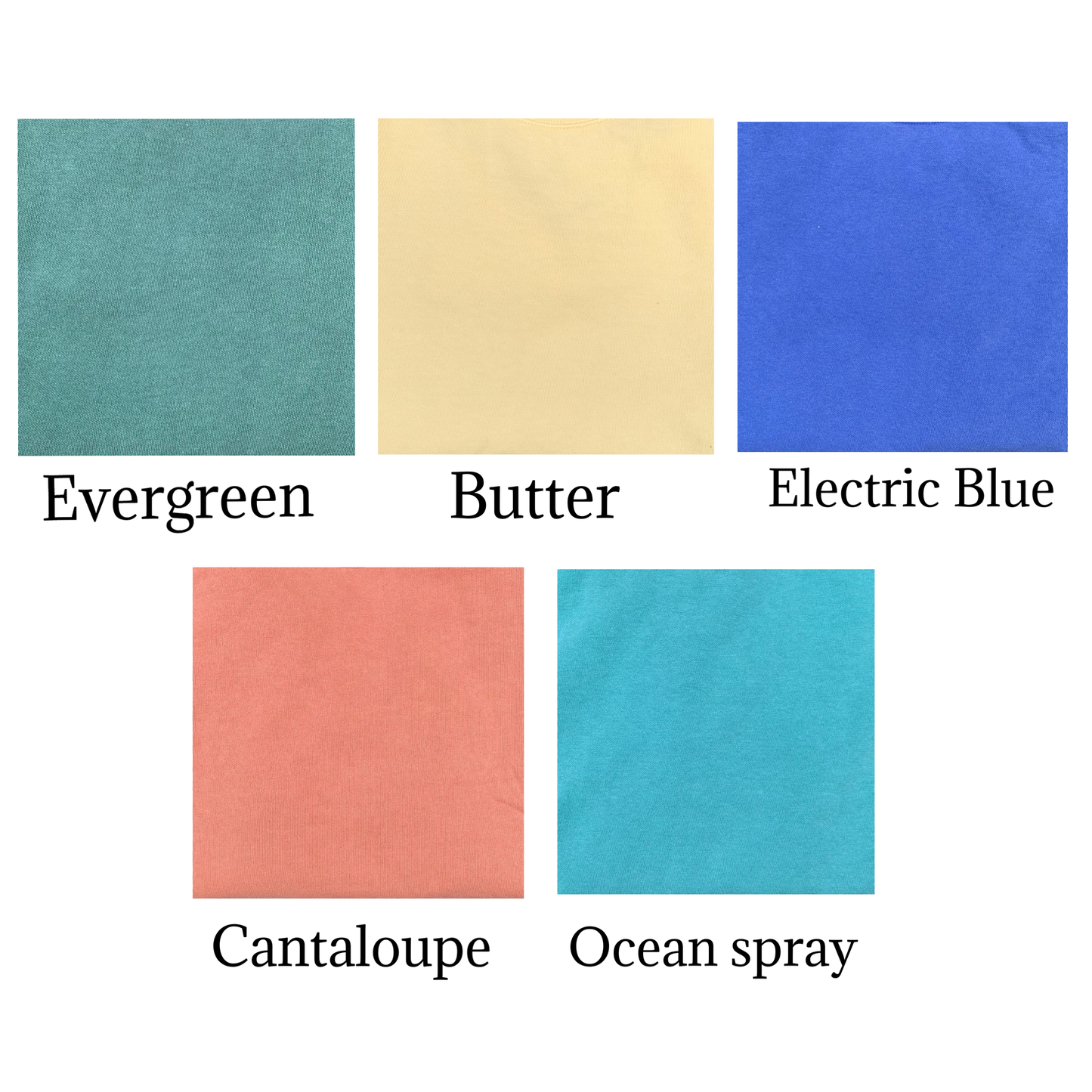 PRE ORDER VANCOUVER ISLAND SEA OTTER 3D PUFF GARMENT DYED