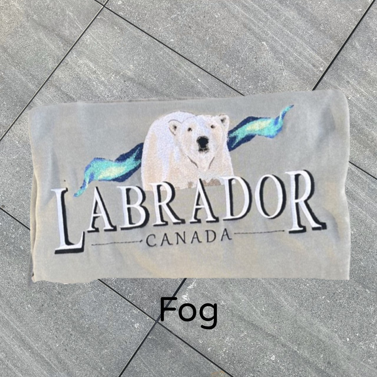 PRE-ORDER LABRADOR POLAR BEAR