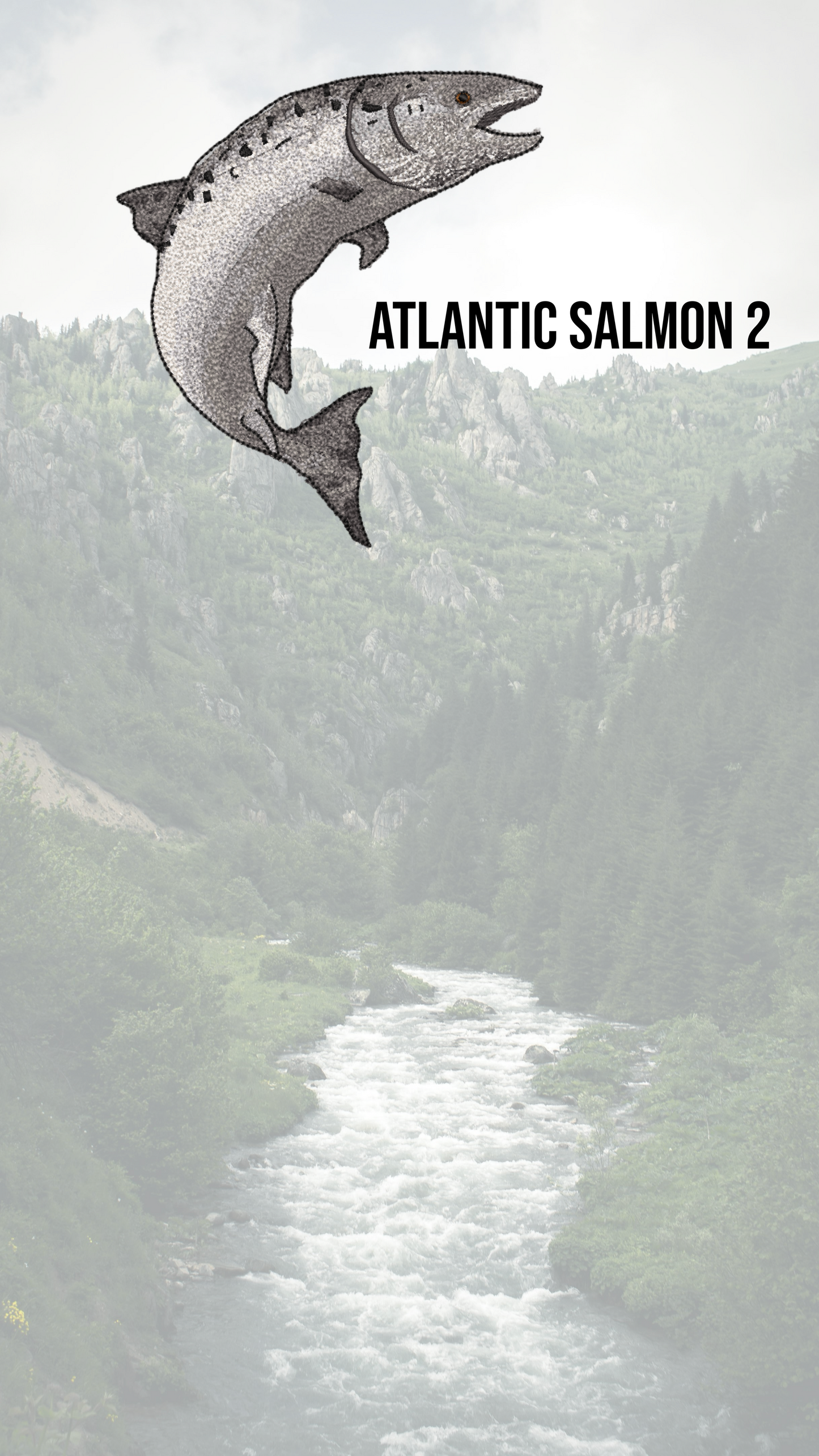 PRE-ORDER Custom Fly fishing Crewneck Garment Dyed