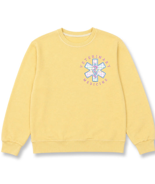 PRE-ORDER VETERINARY MEDICINE CREWNECK
